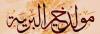 المولد النبوى الشريف.. واسبوع الوحدة