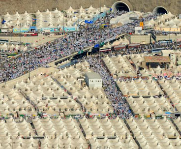 Saudi Arabia urged to cooperate on Hajj tragedy 