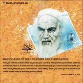 Significance of self-training and purification in Imam Khomeini`s viewpoint