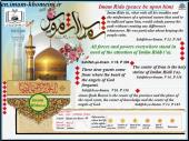 Imam Khomeini`s view on Imam Reza (AS)