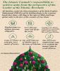 The Islamic Ummah’s responsibility to achieve unity from the perspective of the Leader of the Islamic Revolution.