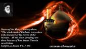 Imam Hussein saved Islam.