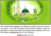 We are united with the Sunnīs