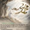 Endurance of hardship