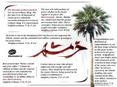 Laying emphasis on the steadfastness and devotion of the nation in defending Islam.