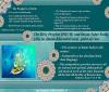  The Holy Prophet (PBUH) and Imam Jafar Sadiq (AS) from Imam Khomeini`s point of view