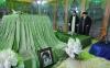 Leader visits Imam Khomeini Mausoleum in Tehran on eve of Revolution anniversary 