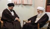 آیت اللہ صافی گلپائیگانی اور یادگار امام کی ملاقات