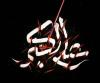 علی اکبر (ع) کا نام آتے ہی