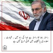 شہید فخری زادہ